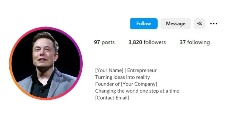 Instagram bio template copy and paste idea for entrepreneur image is visible